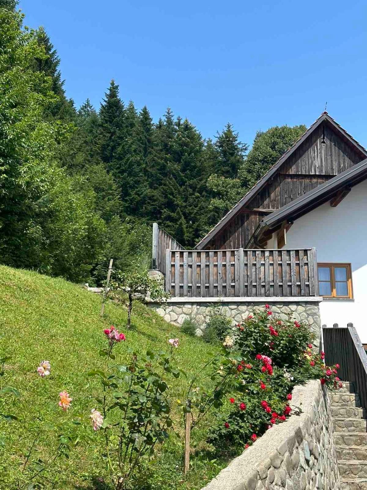 LjubnoRose Garden公寓 外观 照片